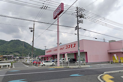 コスモス山手店