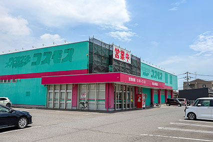 ドラッグストアコスモス福山新涯店